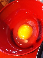 2012春但馬1204081554_013.JPG