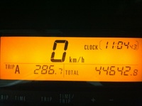 2012春但馬1204081842_017.JPG