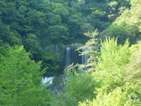 2012GW1205041611_115.JPG