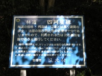₩MB 0909191228_013.JPG