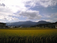 ₩MB 0909191307_023.JPG