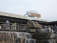 oCNY 0910170917_012.JPG