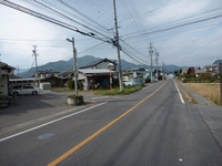 oCNY 0910171235_021.JPG