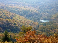 oCNY 0910192154_090.JPG