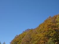 oCNY 0910192154_091.JPG