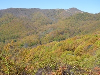oCNY 0910192156_094.JPG