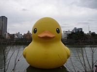 Aq 0912131521_010.JPG
