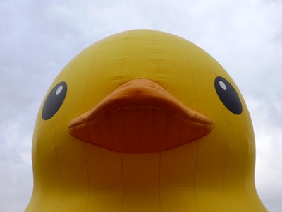 Aq 0912131524_016.JPG