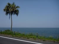 BCc[@1005011007_042.JPG