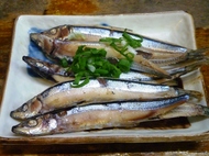 九州海上ツー 1005012231_187.JPG