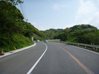 BCc[@1005021036_246.JPG