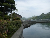 BCc[@1005021107_254.JPG