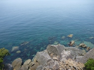 BCc[@1005021157_269.JPG
