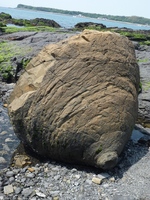 BCc[@1005021339_280.JPG