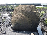 BCc[@1005021340_281.JPG