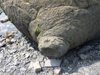 BCc[@1005021341_284.JPG