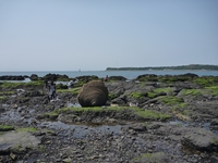 BCc[@1005021342_285.JPG