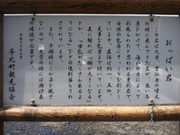 BCc[@1005021346_287.JPG