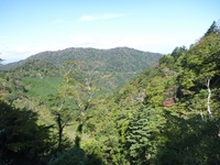 H 0910111026_050.JPG