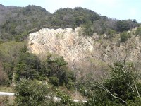 Jc@1003201259_017.JPG