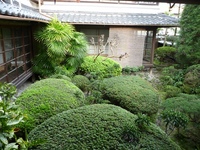 Jc@1003201604_024.JPG