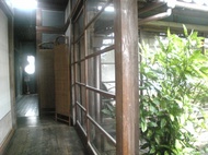 Jc@1003201608_029.JPG