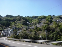 Jc@1003211314_085.JPG