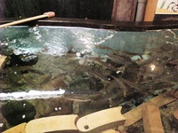 痢OX 0908292136_031.JPG