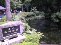 痢OX 0908301131_096.JPG