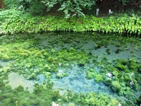 痢OX 0908301132_098.JPG