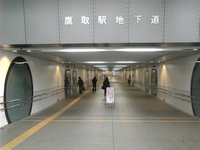 n.JPG