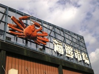 丹後半島 0911232159_009.JPG
