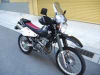 h@1005172327_004.JPG