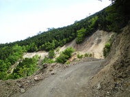 ѓƒIc 0905231445_030.JPG