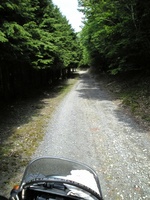 ѓƒIc 0905231449_034.JPG