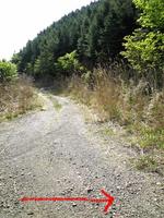 ѓƒIc 0905231530_042.JPG