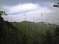 ѓƒIc 0905231535_045.JPG