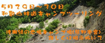 和歌山林道キャンプツー タイトル.jpg