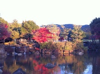 ○ならつう 1112041625_076.jpg