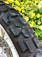 tgH23.6.12.jpg