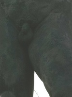 和束でわずか 1108071613_022.jpg