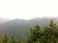 雨の護摩壇山 1106051259_005.jpg