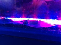 H23txR@1105051112_032.jpg