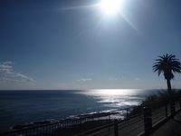 H23鹿児島 1112251047_095.JPG