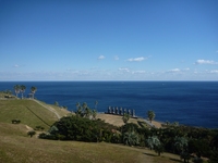H23鹿児島 1112251141_116.JPG