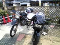 MJoCN 0911152246_015.jpg