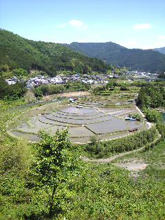 SBSH00041.JPG
