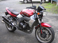 xanthus003.jpg